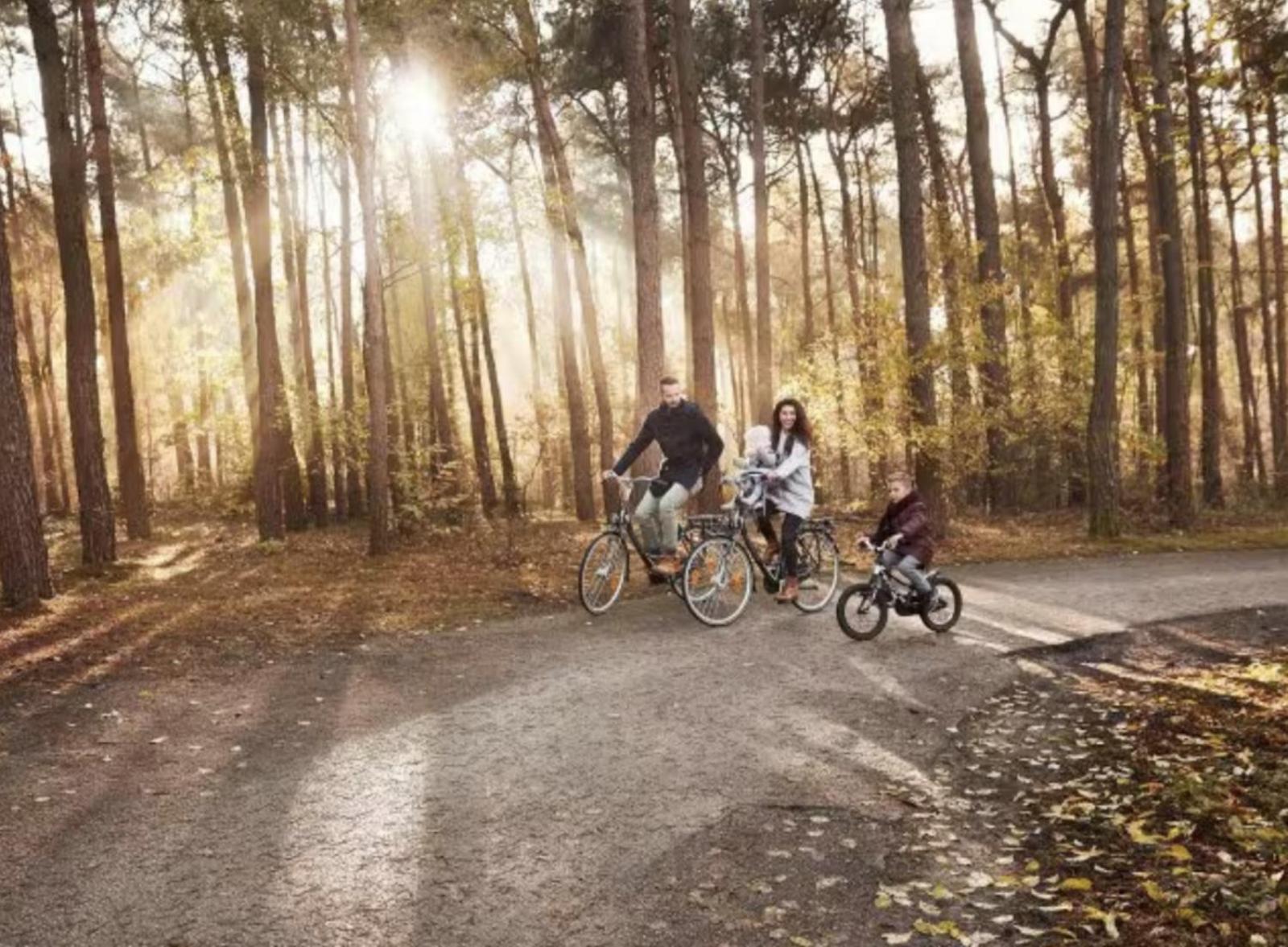 Glamping Lodge With Eco-Wellness Zeewolde Dış mekan fotoğraf